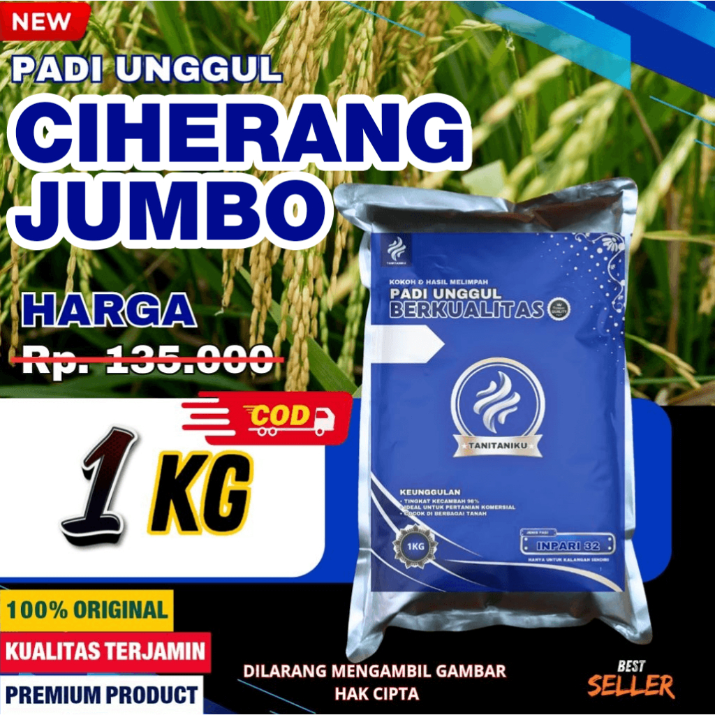 Benih Padi Ciherang Jumbo Ukuran 1KG