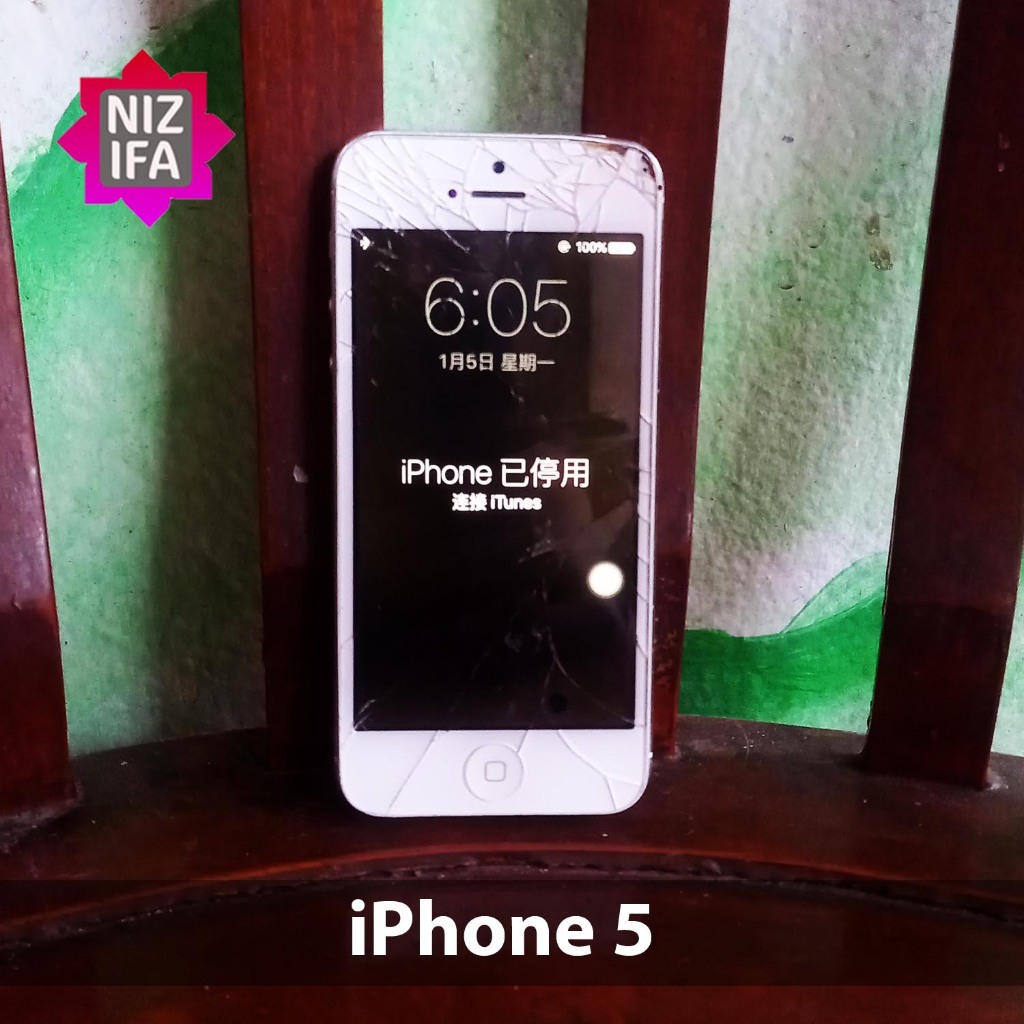 iPhone 5 Biasa