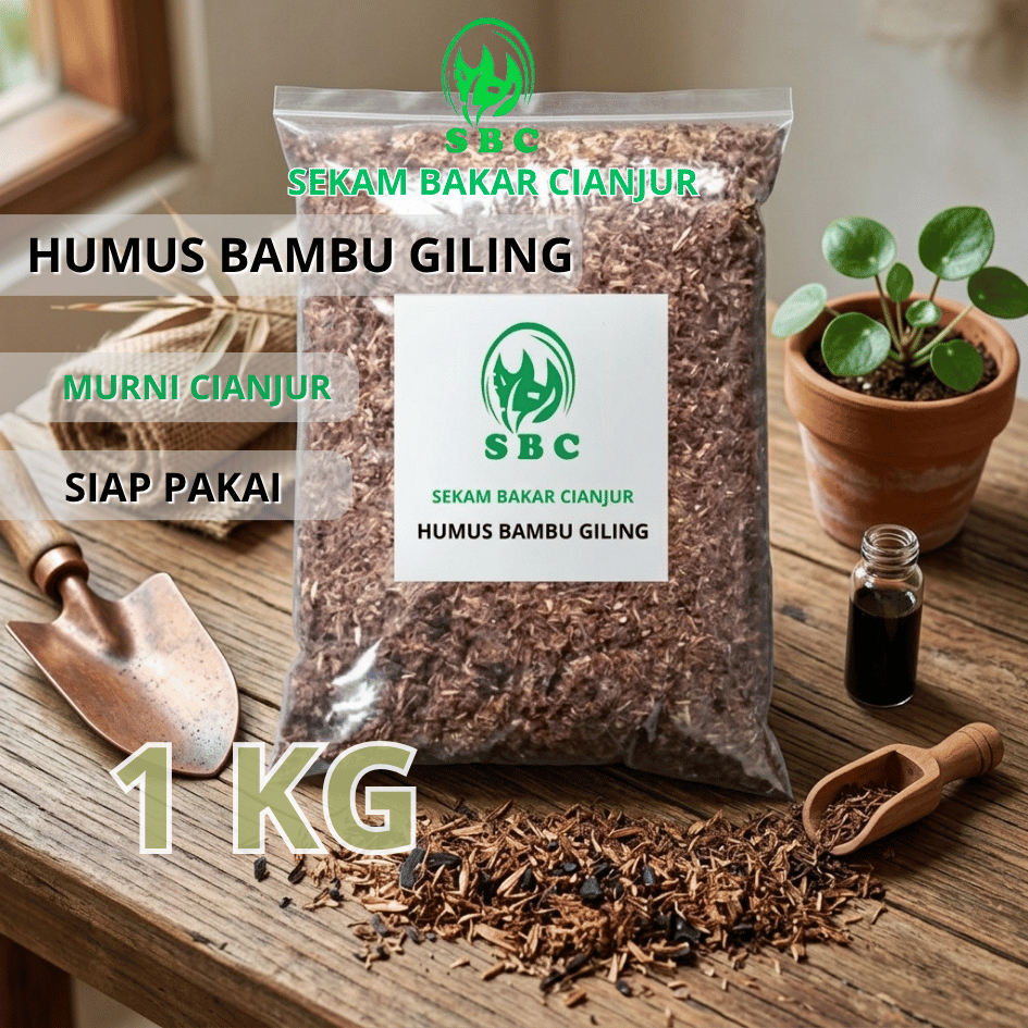 HUMUS BAMBU GILING / ANDAM BAMBU
