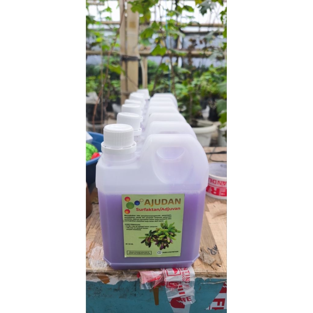 SURFAKTAN ADJUVANT