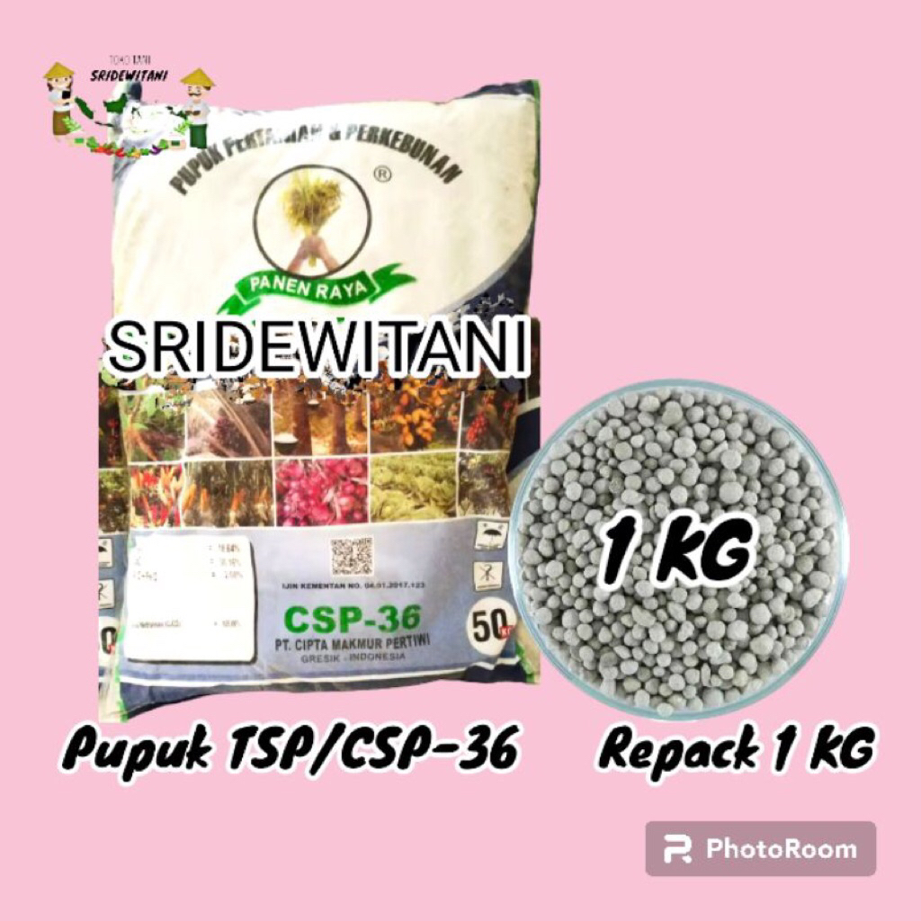 Pupuk TSP CSP 36 SP Repack 1 KG Pupuk Penyubur Semua Tanaman