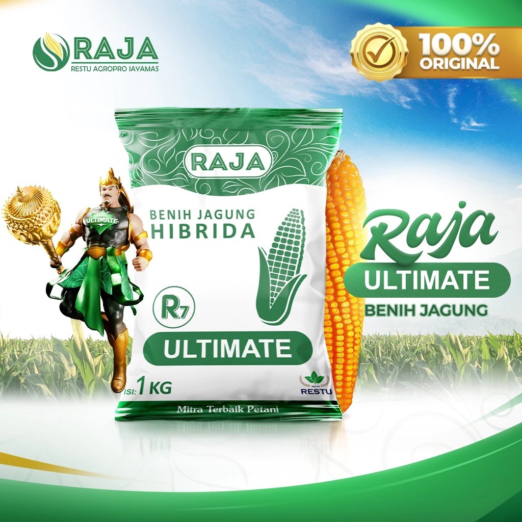 Benih Jagung RAJA R7 Ultimate - 1kg