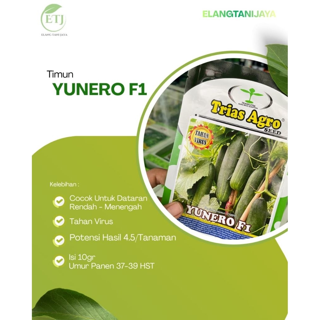 Benih timun Yunero F1 20gr/mentimun Yunero f1
