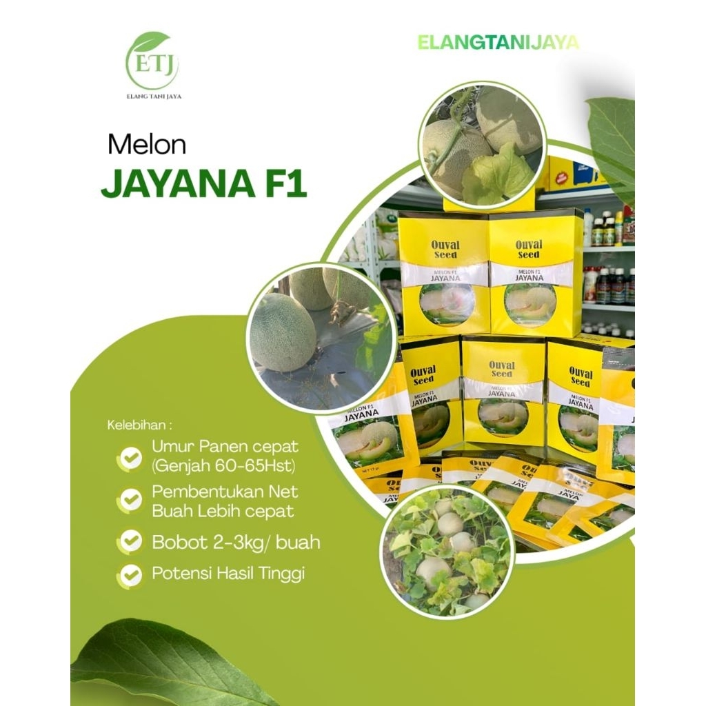 benih melon Jayana F1 Ouval Seed/bibit melon unggul Jayana F1 isi 13 gram exp 2026
