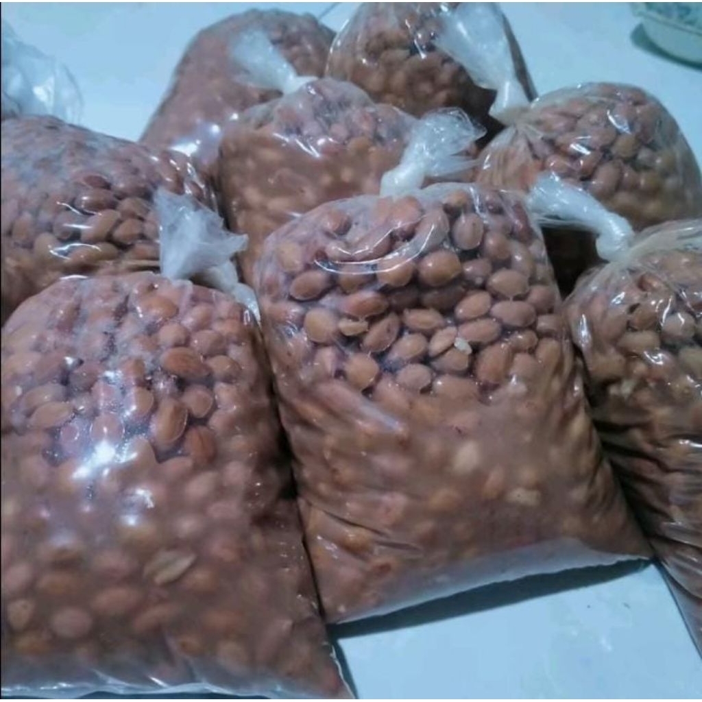 Kacang Presto Umpan Mancing Bawal