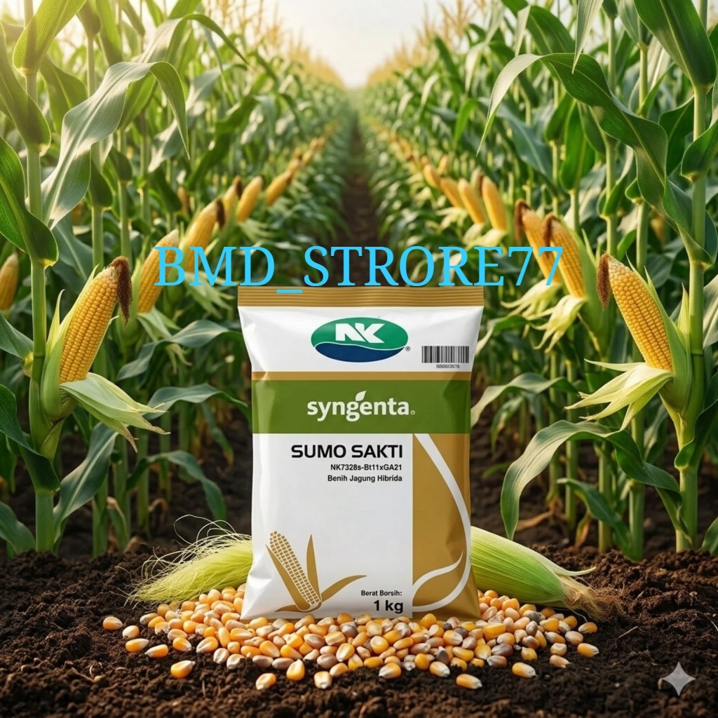 Syngenta Sumo Sakti NK7328-S B1xGa21 -NK 7328 SAKTI - NK SUMO SAKTI 1KG
