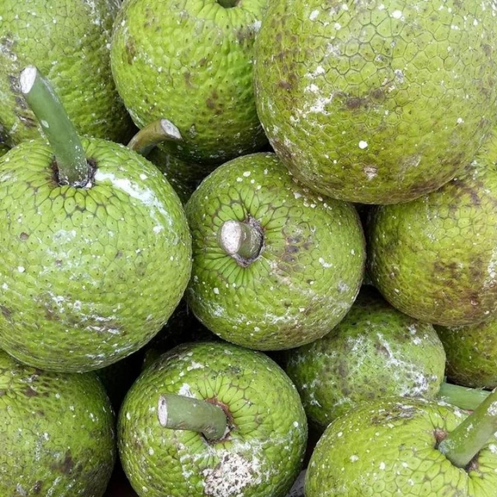 Sukun Kuning Fresh utuh Buah Sukun Fresh 1 Buah BUAH SUKUN SEGAR 1BUAH