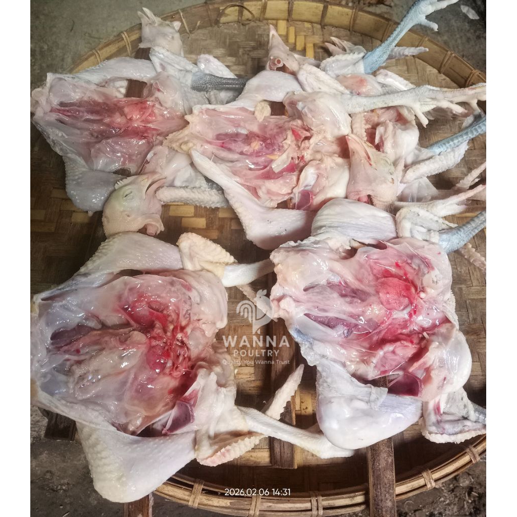 Ayam kampung potong fresh ayam joper utuh 0,5 - 0,8 kg