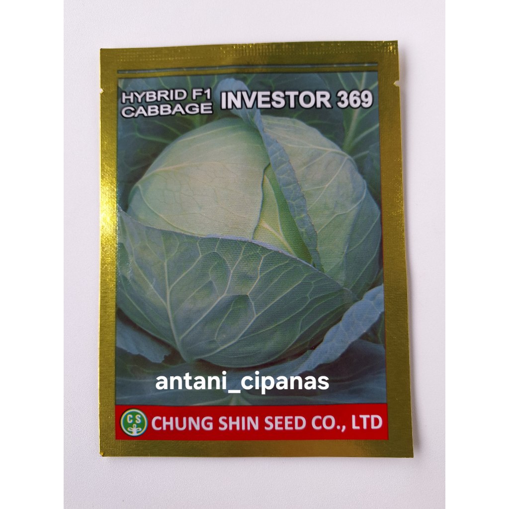 Benih Kol Kubis INVESTOR 369 10GR F1 Chung Shin Seed