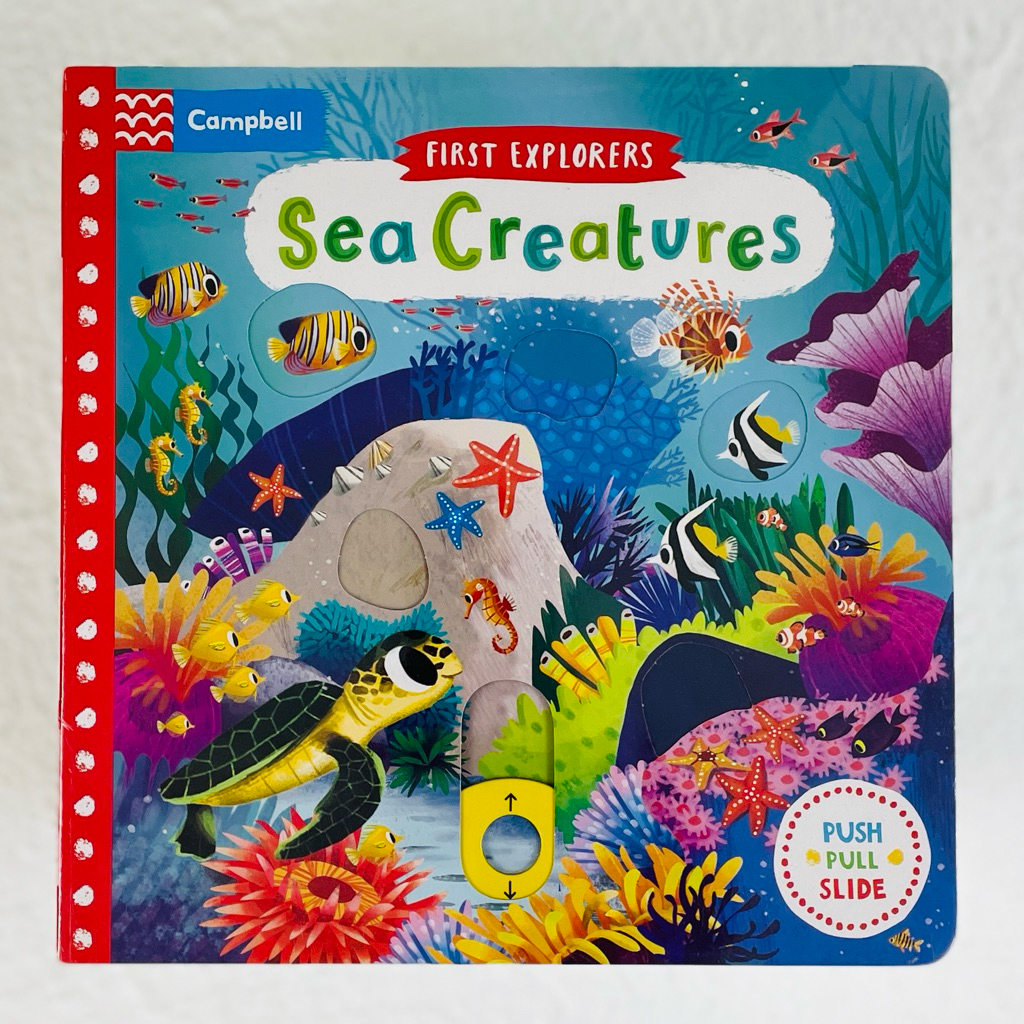 Campbell - First Explorers Sea Creatures