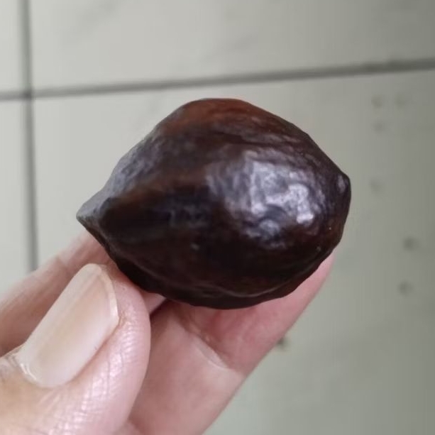 Kemiri Adu Muncang Adu Jalim Anak JPU Pasangan Mewah