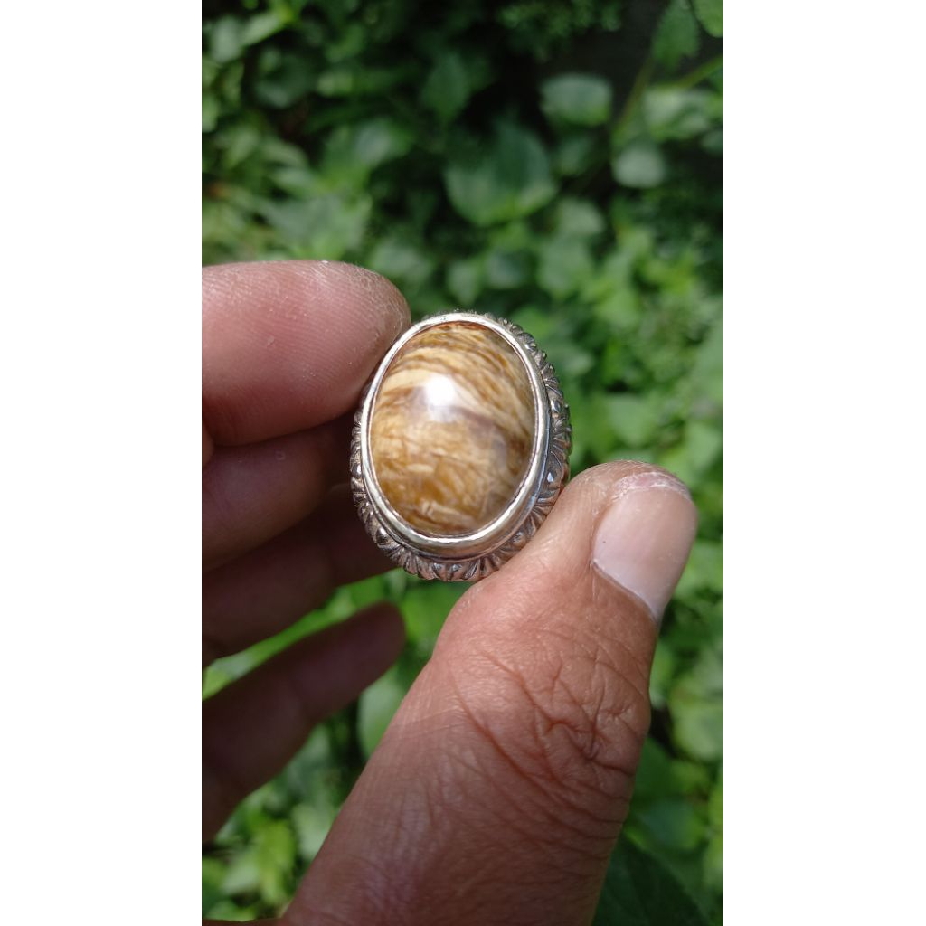 mustika kayu purba membatu peninggalan mbah guru