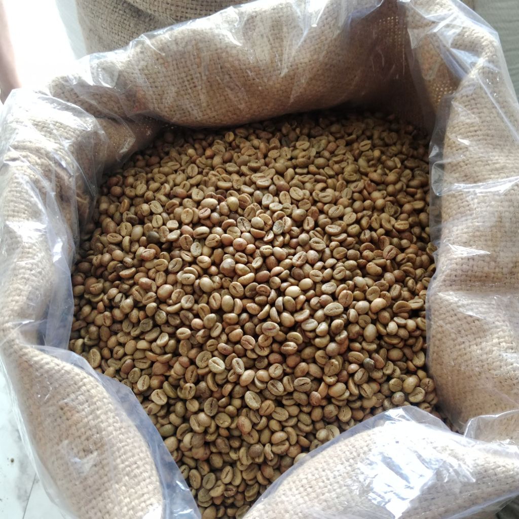 kopi hijau temanggung 1kg