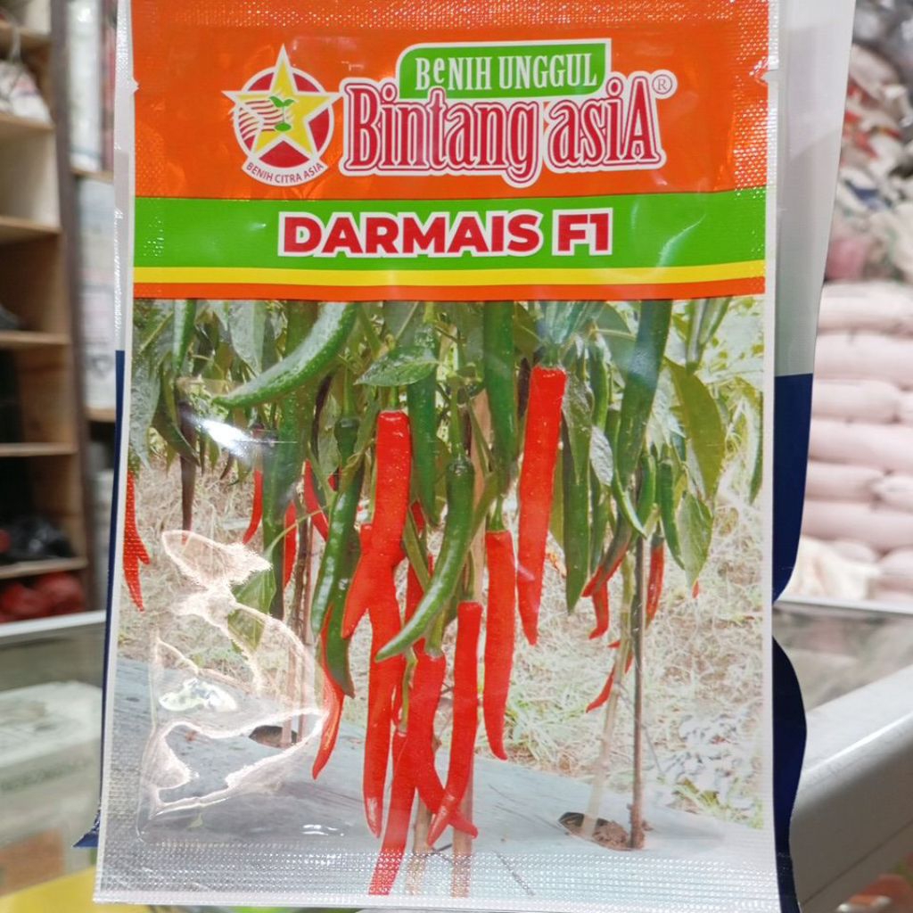 Cabe besar Darmais f1
