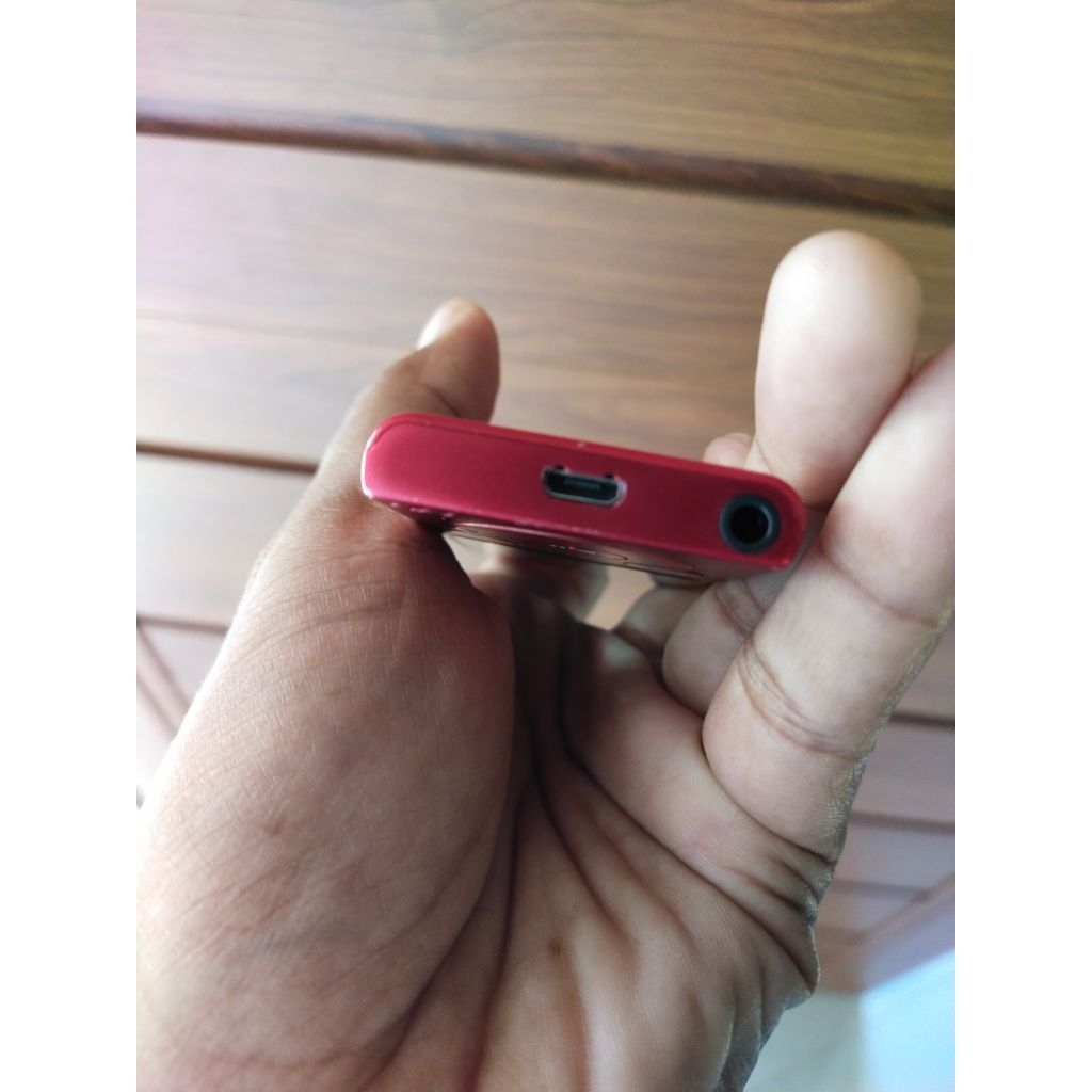 Sony NW -e394 MP3 player original