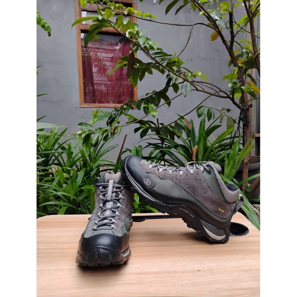 Zamberlan 150 Zenith Mid GTX RR shoes