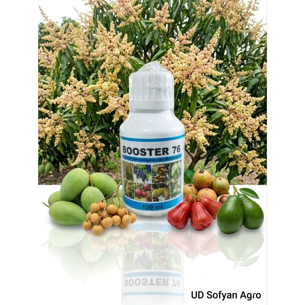 Booster76 100ml Ori perangsang keluar bunga tanaman kelengkeng dll