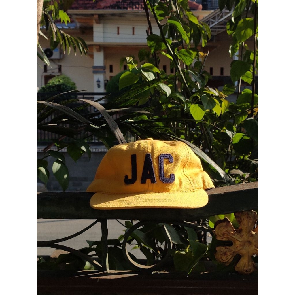 TOPI VINTAGE EBBETS FIELD JACKSON HOLE
