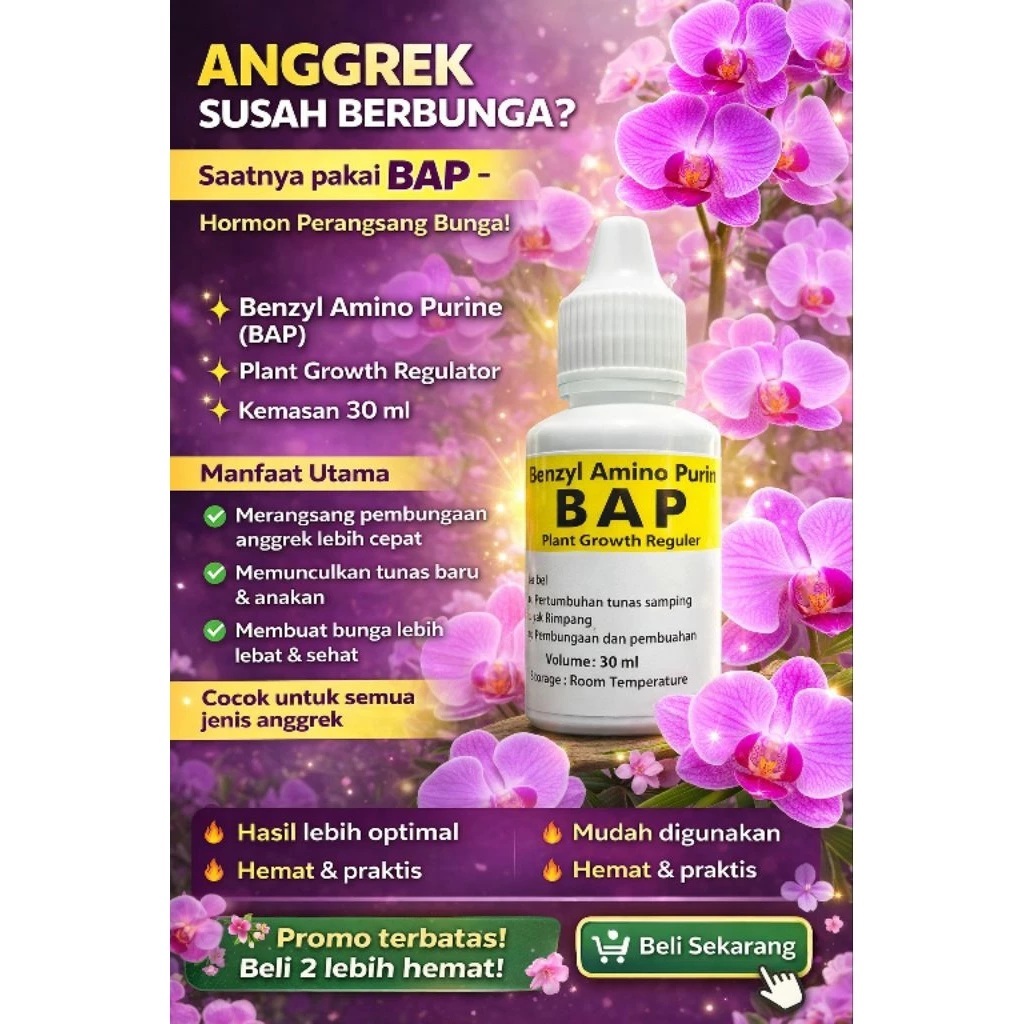 HORMON ANGGREK 6BAP" (Perangsang Tunas & Pembungaan Anggrek)