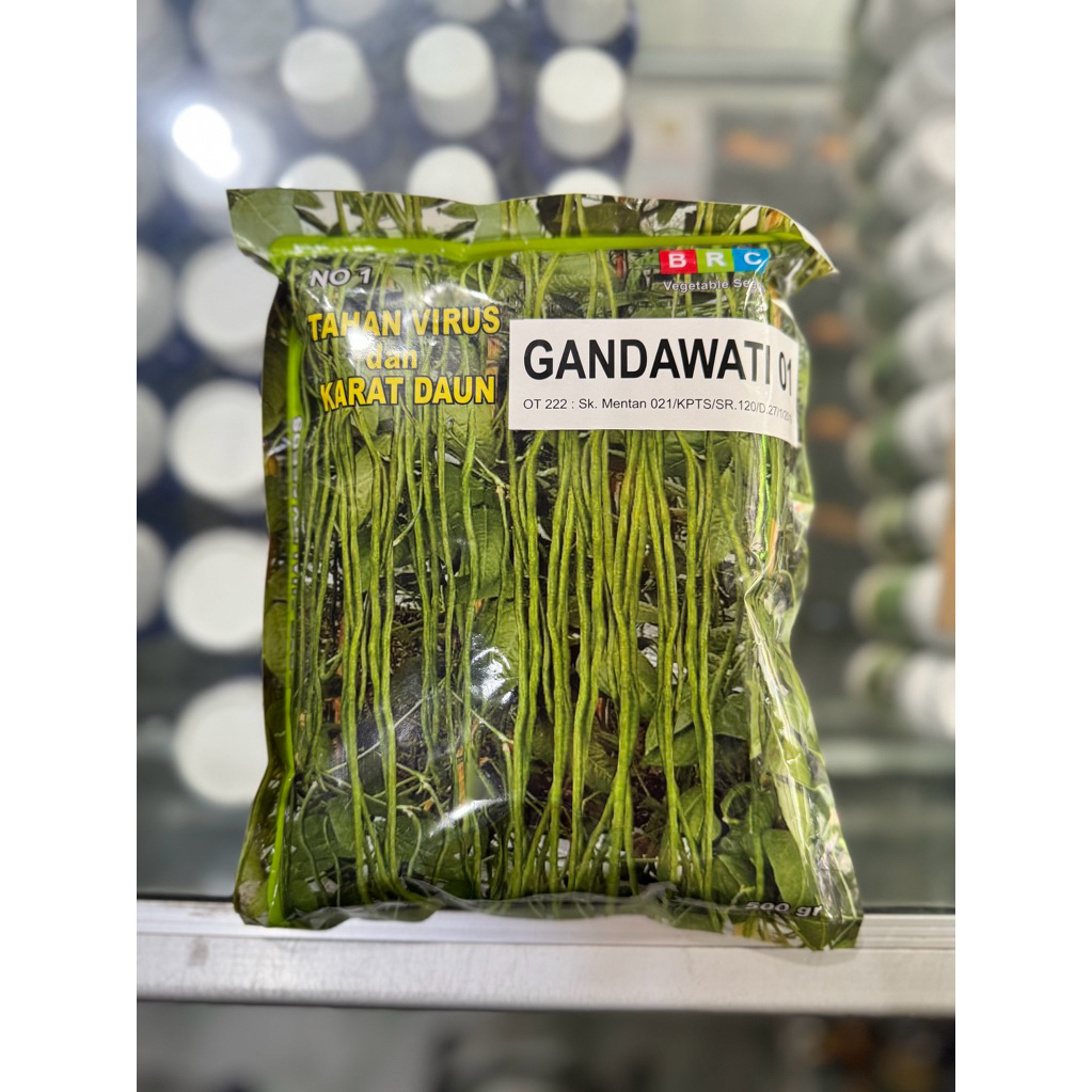 BENIH KACANG PANJANG GANDAWATI BRC