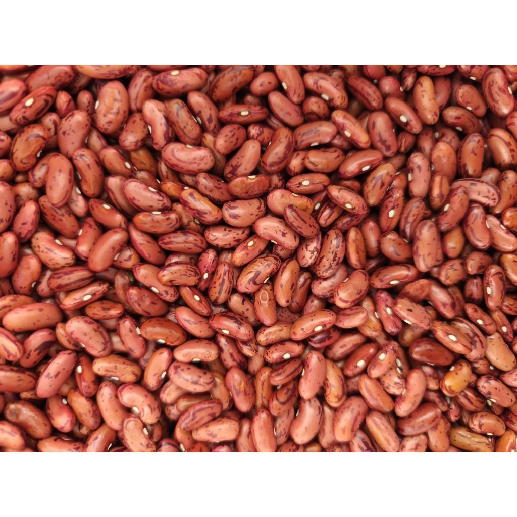 Kacang merah lokal 250g