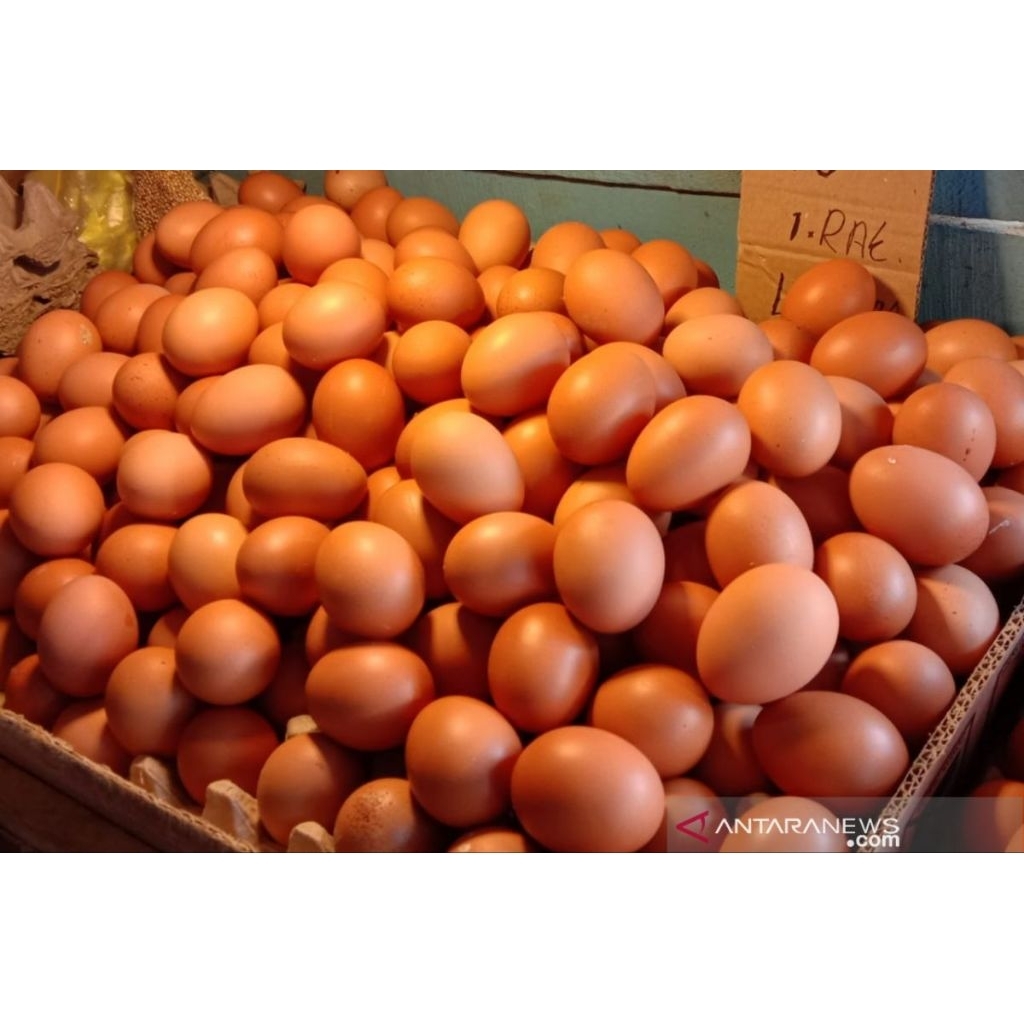 AREA BEKASI INSTAN Telor/Telur Ayam Negeri Kulit Coklat Fresh 1 Kg
