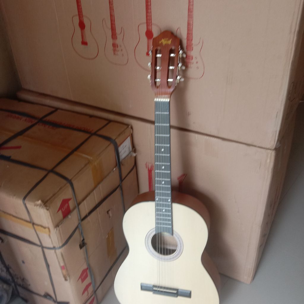 GITAR KAPOK PEMULA ORI BAKI