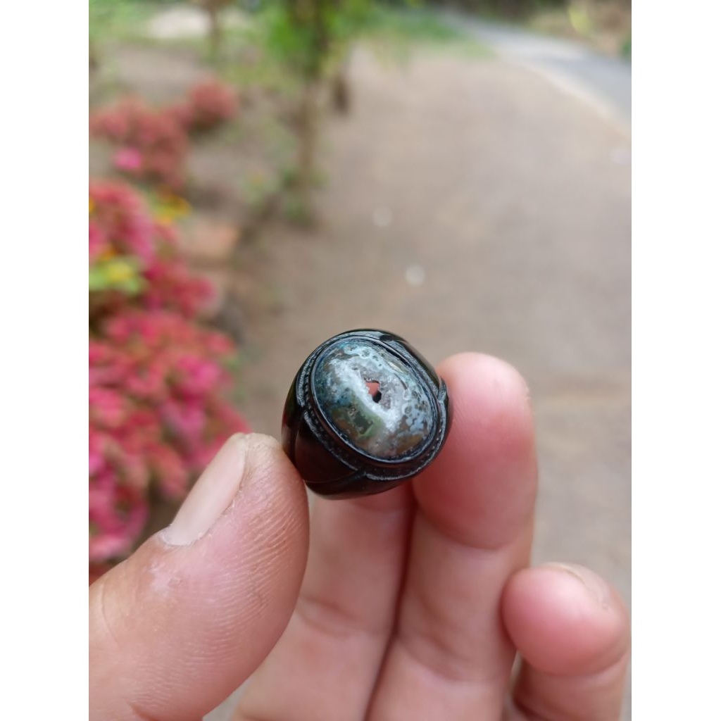 Natural combong alam asli ( Real pict)