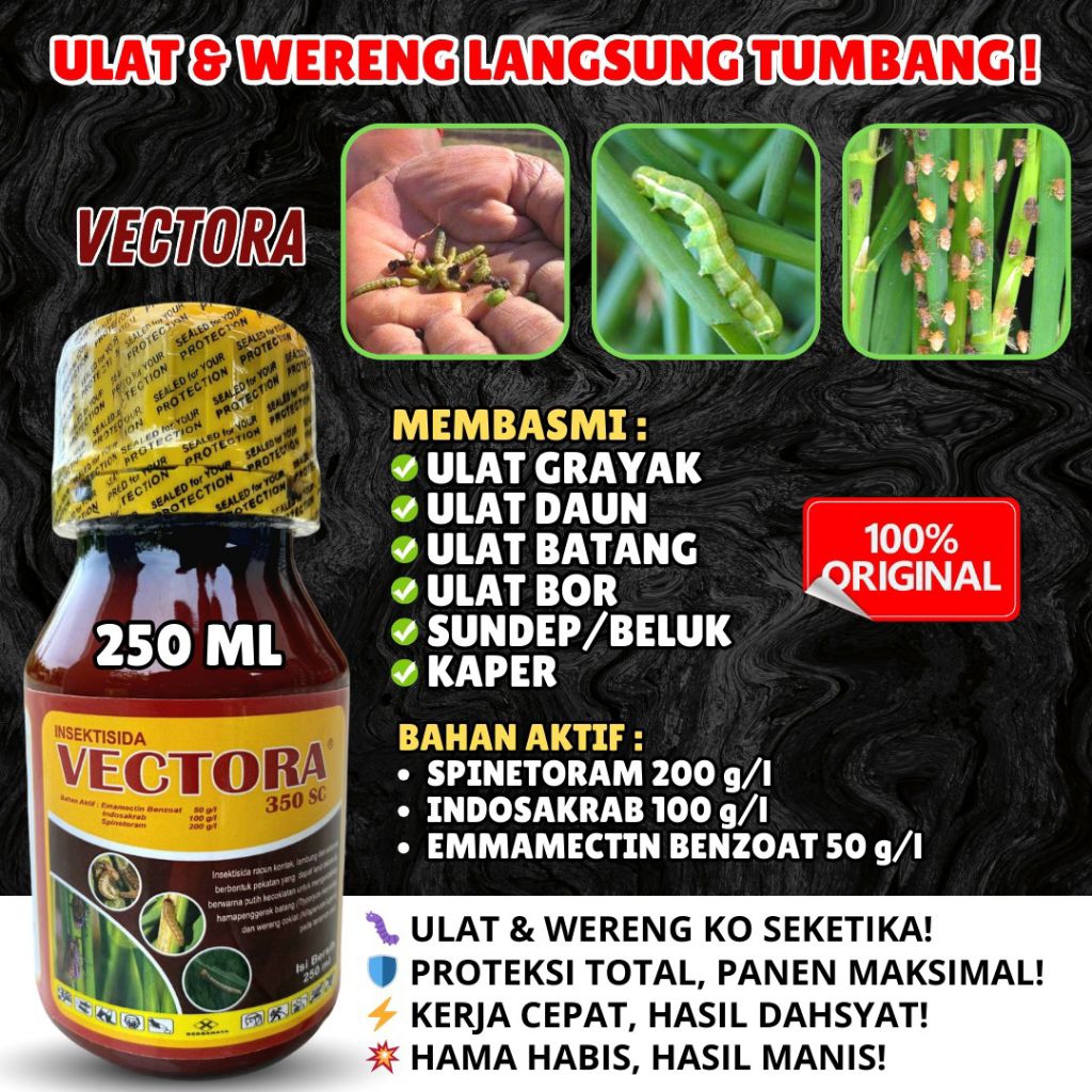 Insektisida VECTORA Pembasmi Ulat Ampuh