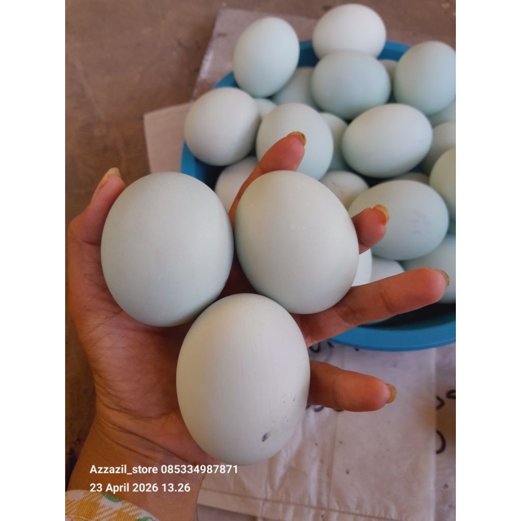 telur asin masir nikmat harga/mika isi 10