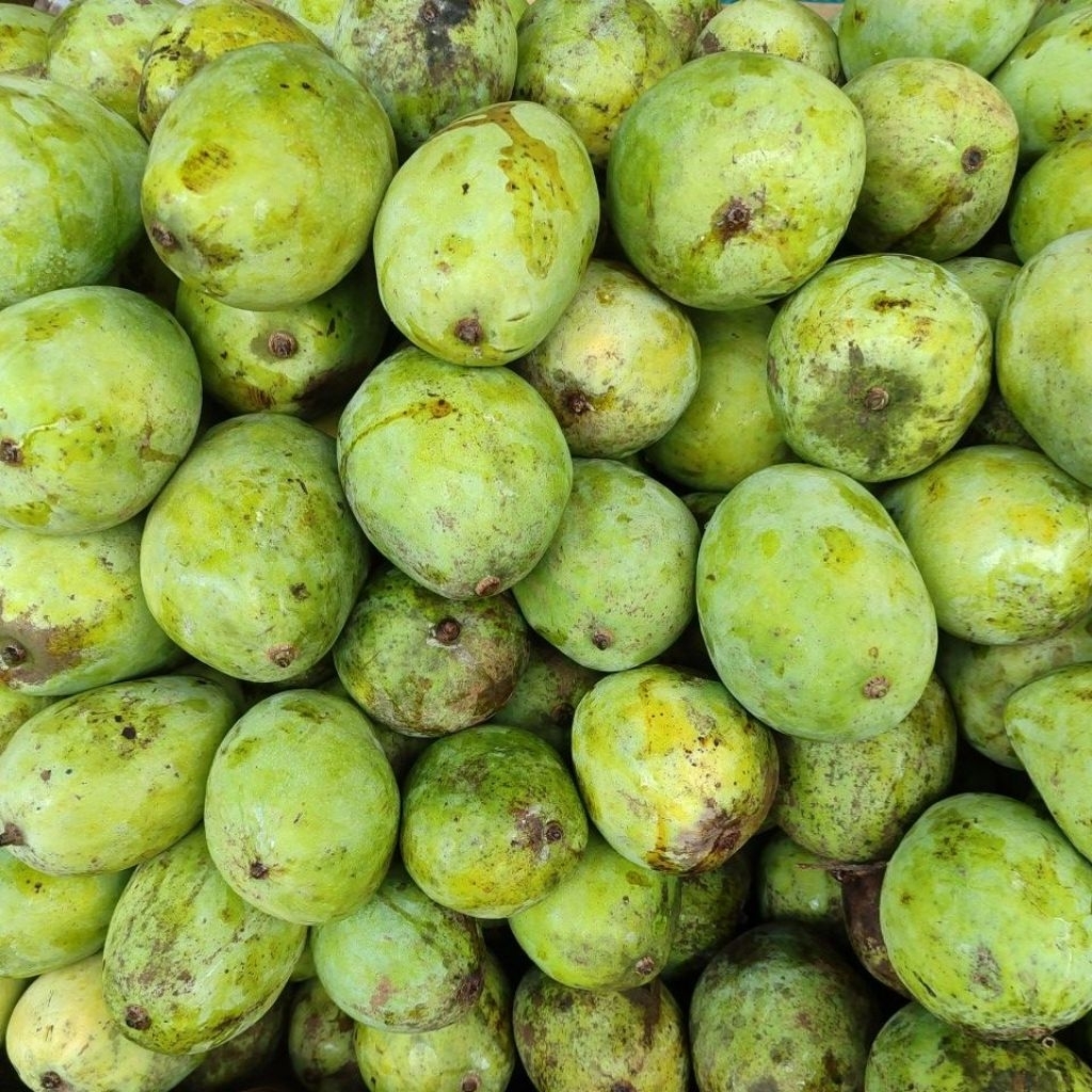 Mangga Dermayu