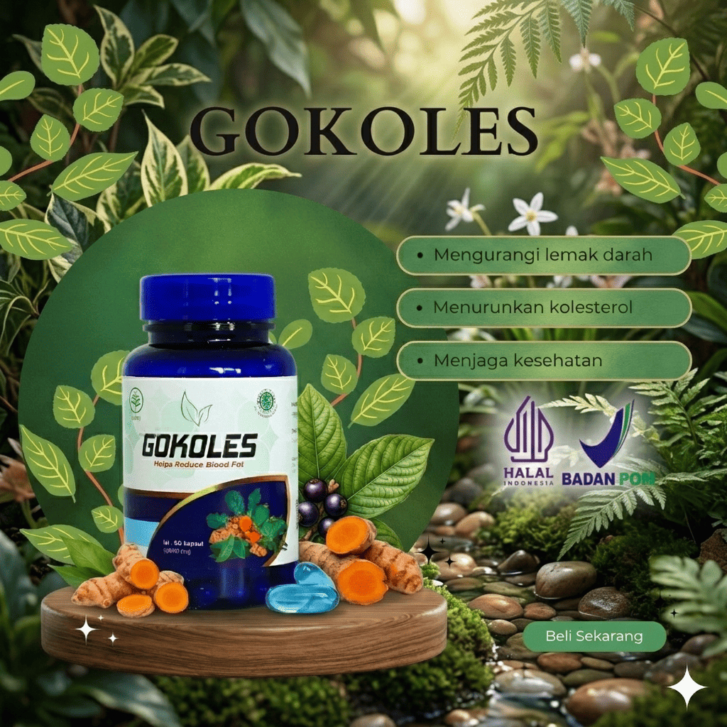 Gokoles obat kolestol tinggi 100% original Bpom | obat kolestrol