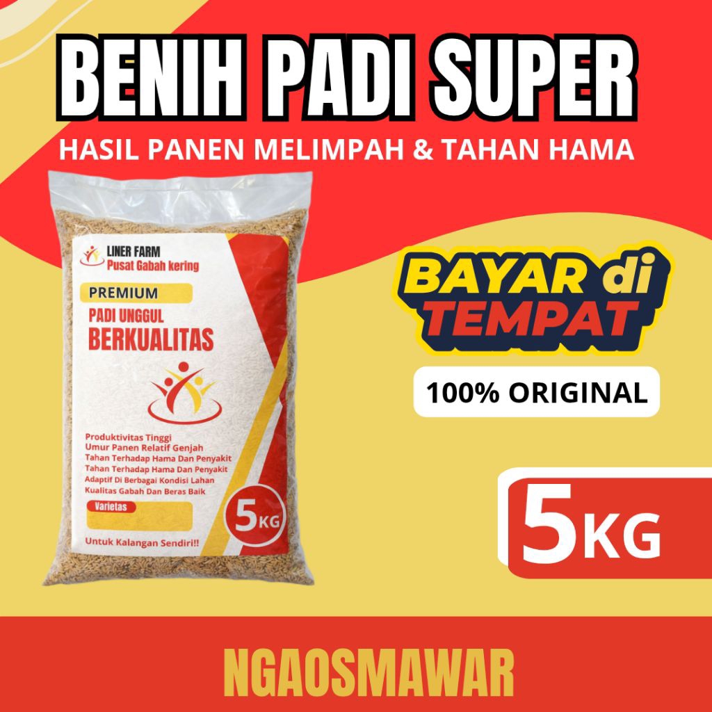 benih padi unggul ngaos mawar 5kg.