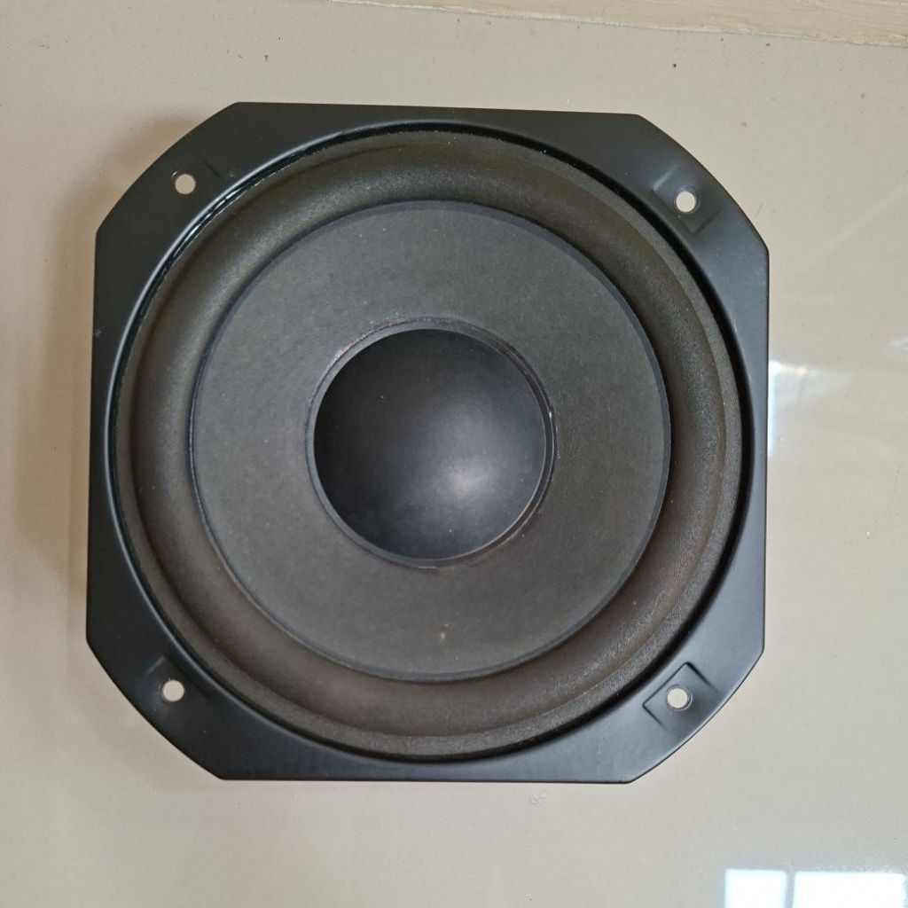 Woofer POLYTRON BIGBAND