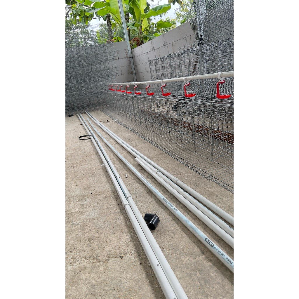 Kandang Ayam Petelur 10 Pintu  10 ekor Full Set Murah Kandang Ayam Layer Siap Rakit