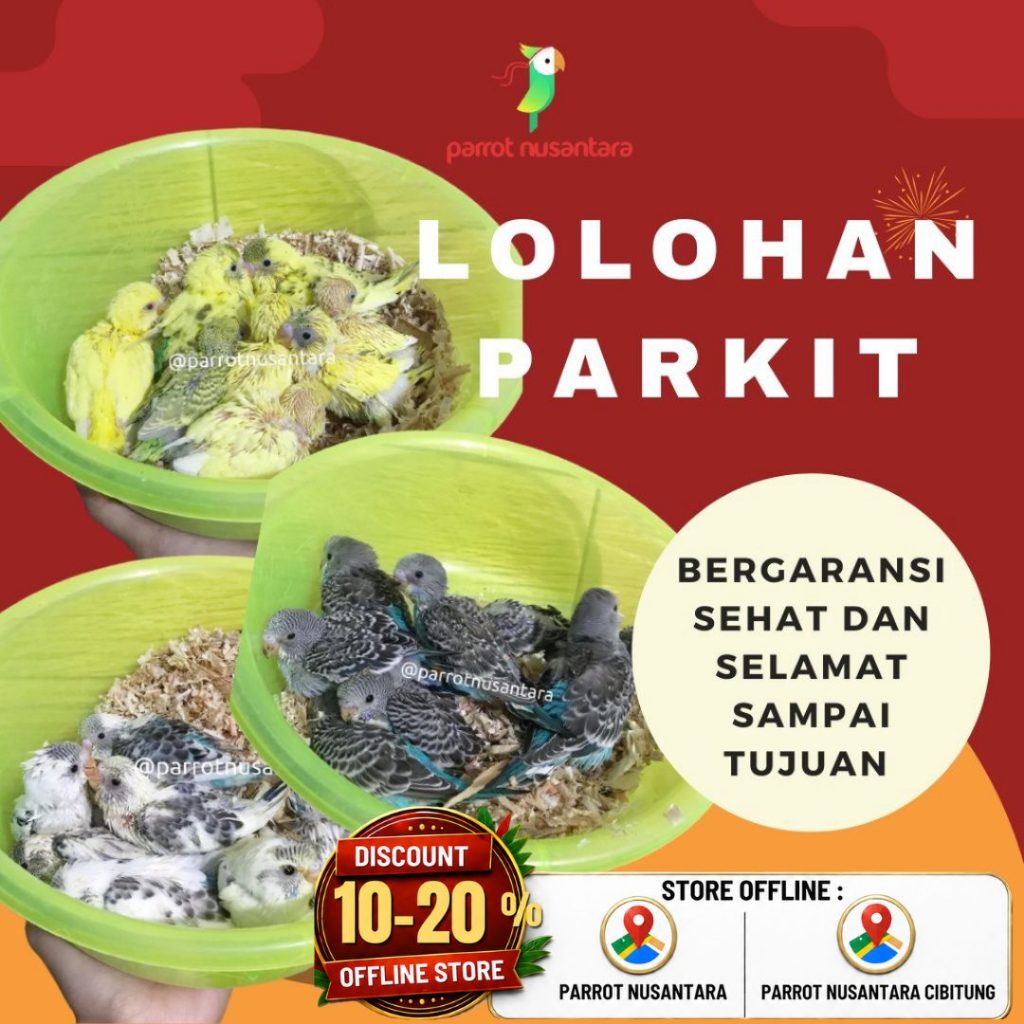 parkit lolohan warna warni