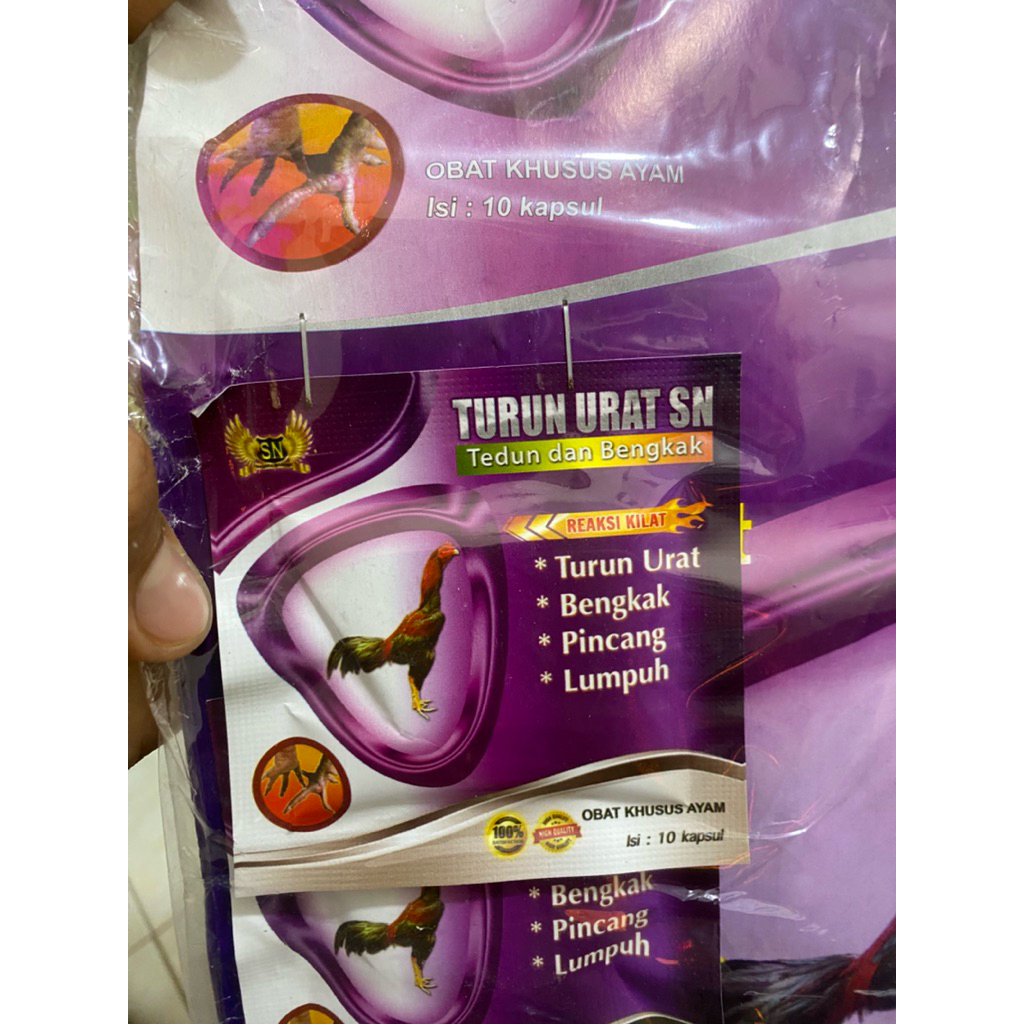 TURUN URAT SN OBAT AYAM TURUN URAT BENGKAK MEMAR PINCANG LUMPUH