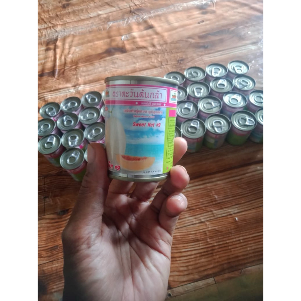 Bibit melon sweet net-9