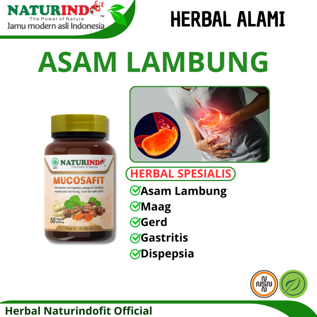 MUCOSAFIT OBAT ASAM LAMBUNG HERBAL ASAM LAMBUNG MAAG GERD HERBAL NATURINDO