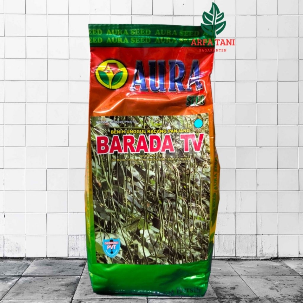 Benih Kacang Panjang Barada TV 500 Gram Asli