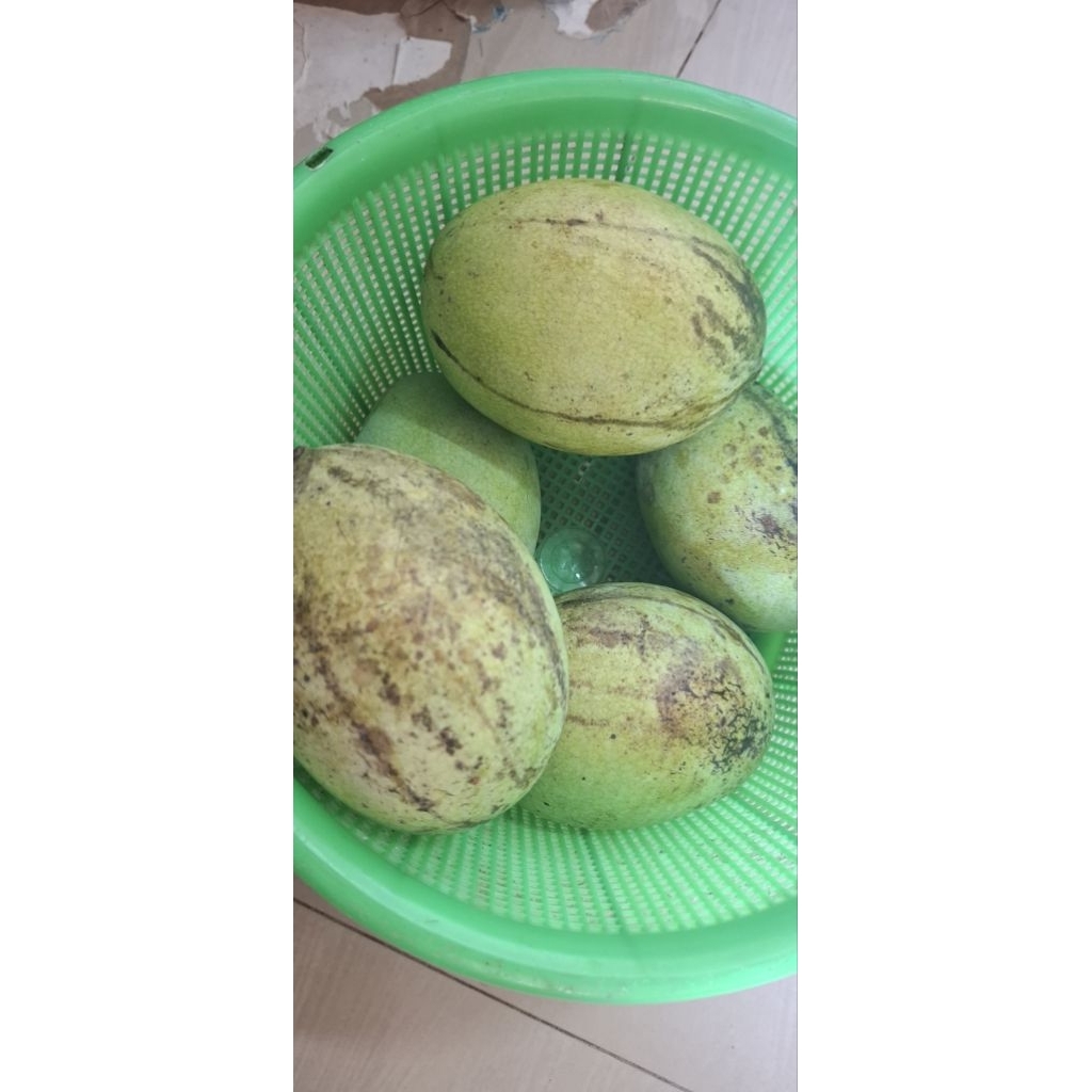mangga manalagi madu