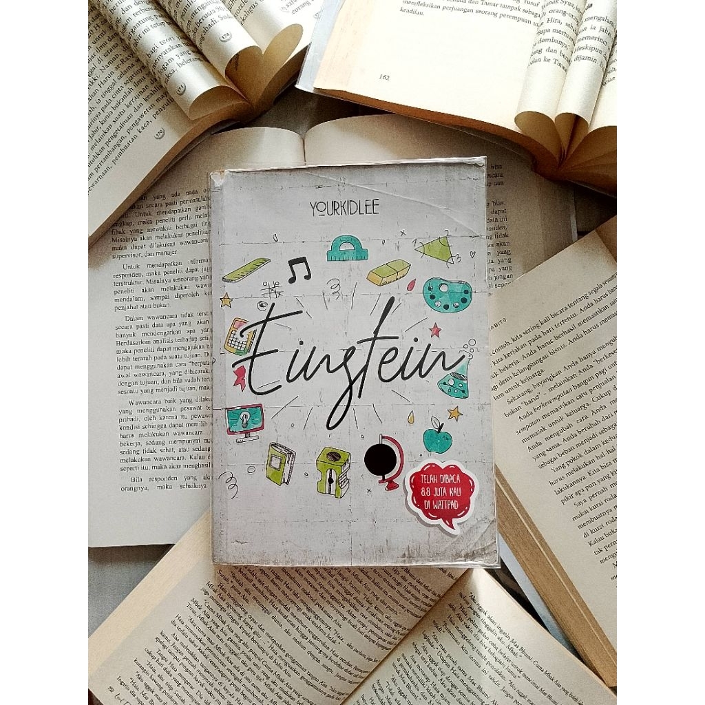 Novel Einstein - Preloved
