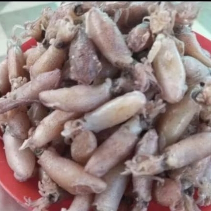 Baby cumi balita cumi medan 1kg