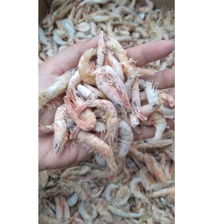 UDANG ASIN/UDANG LAUT ASIN KERING