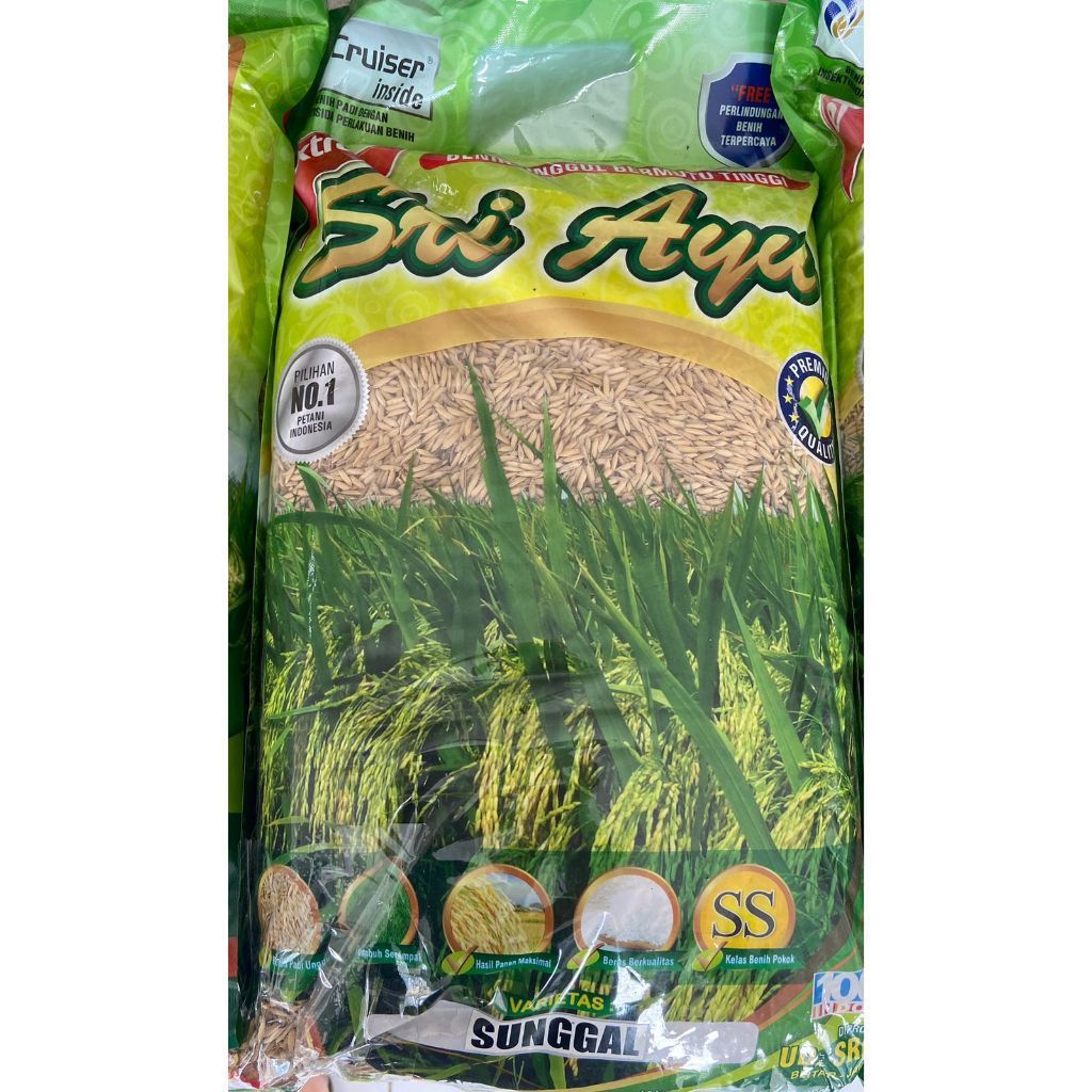 Benih Padi Varietas Sunggal Sri Ayu 5 kg