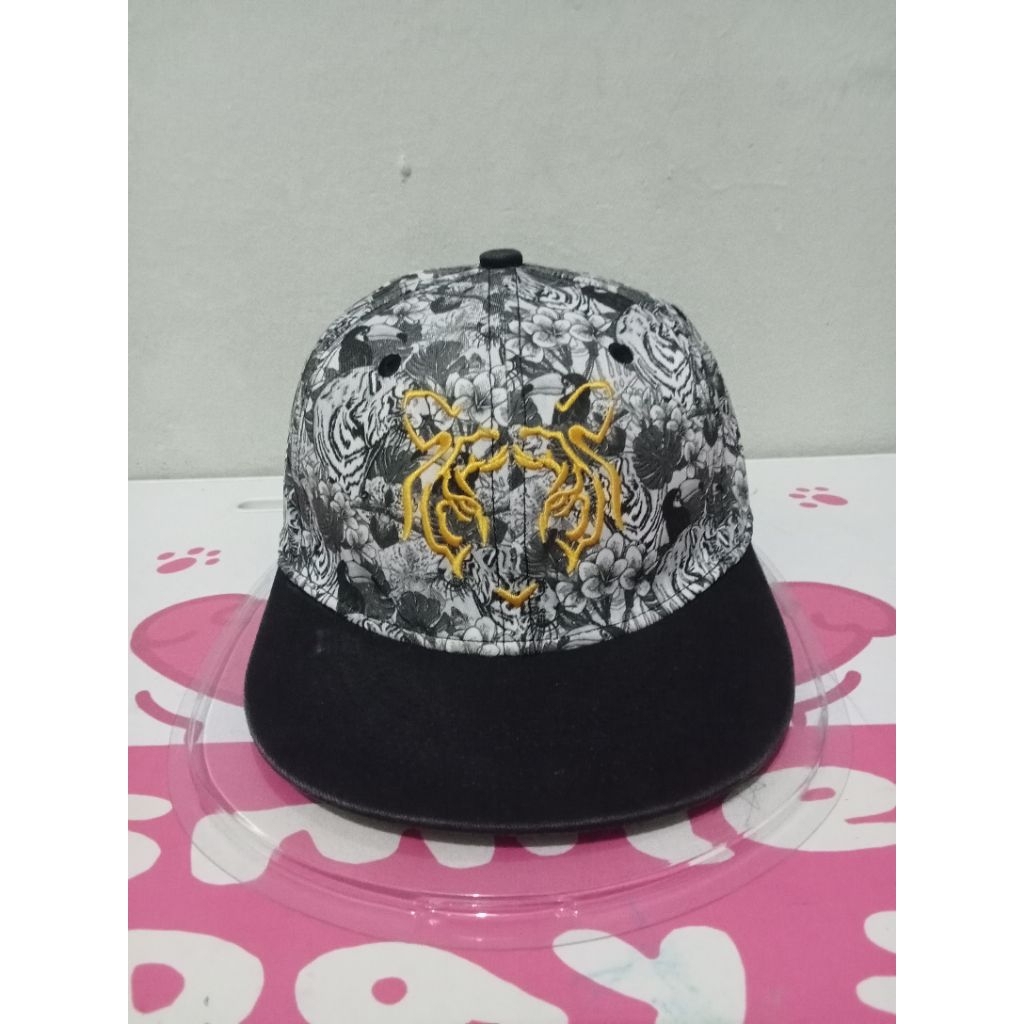 topi snapback aop