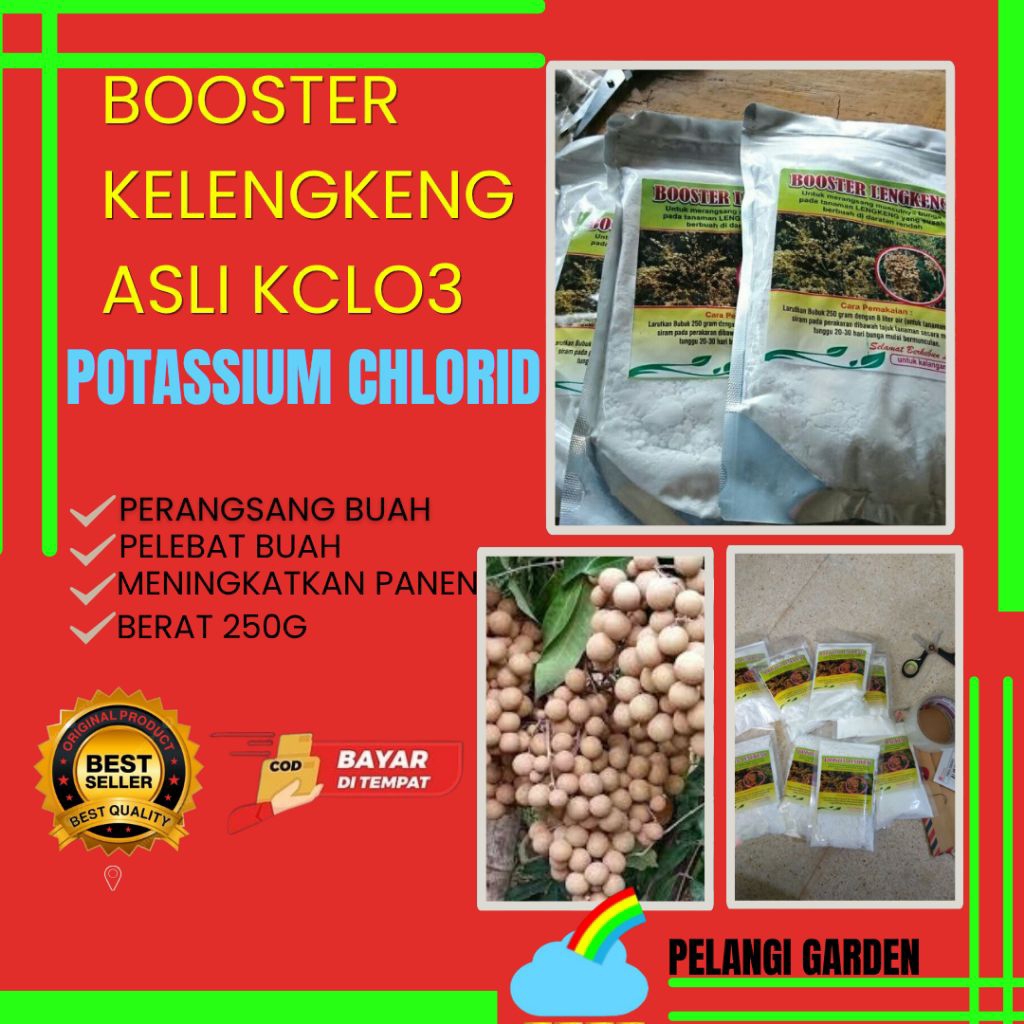 TERBUKTI AMPUH  Boster Kelengkeng Buat Kelengkeng, Boster Kelengkeng Cair, Boster Kelengkeng Itoh