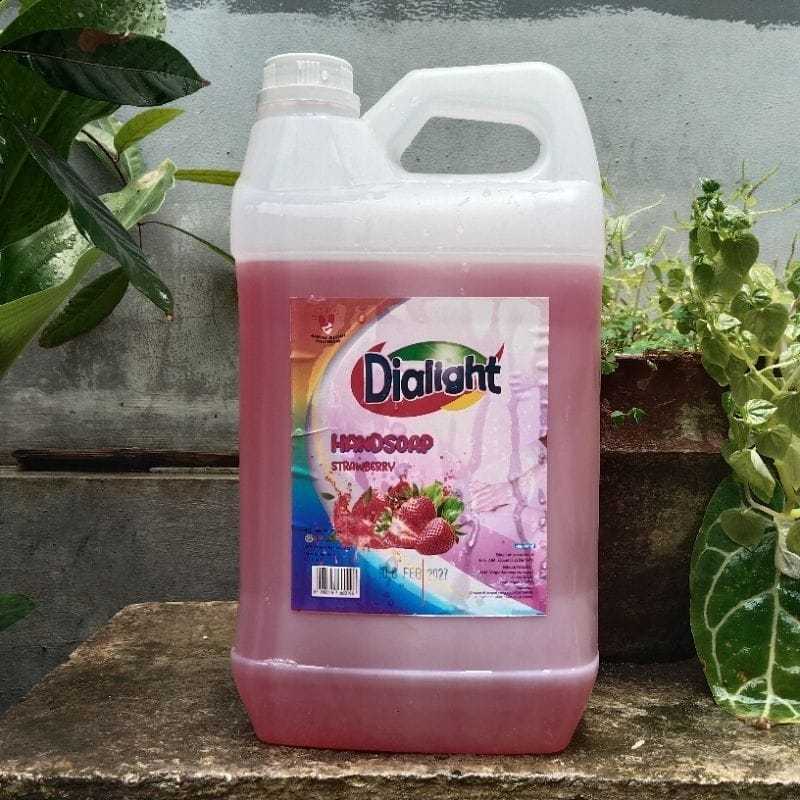 DIALIGHT HANDSOAP 5 LITER