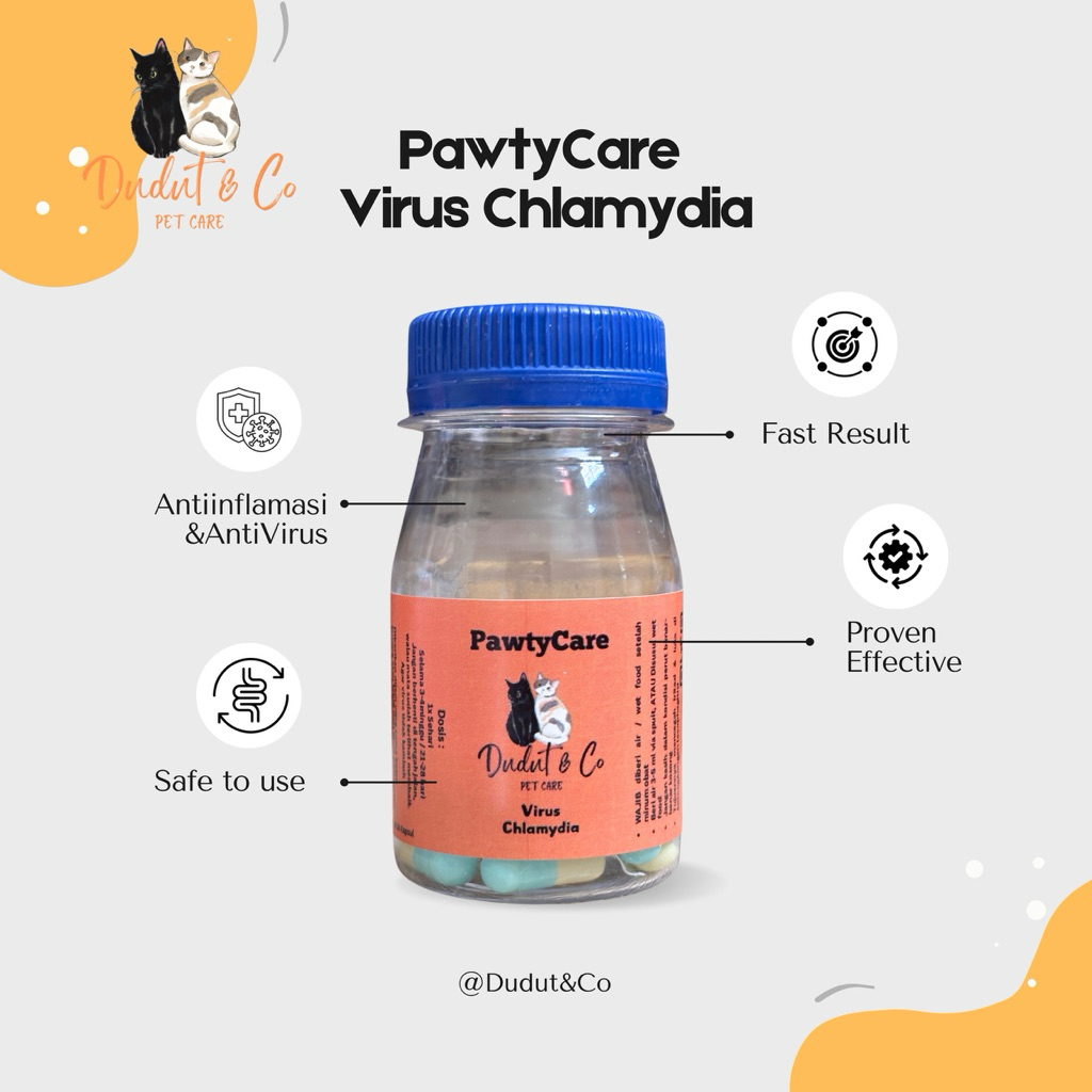 Obat Chlamydia Kucing Ampuh - Obat Mata Kucing Bengkak Berair Belekan Pilek Flu Infeksi Pernapasan K