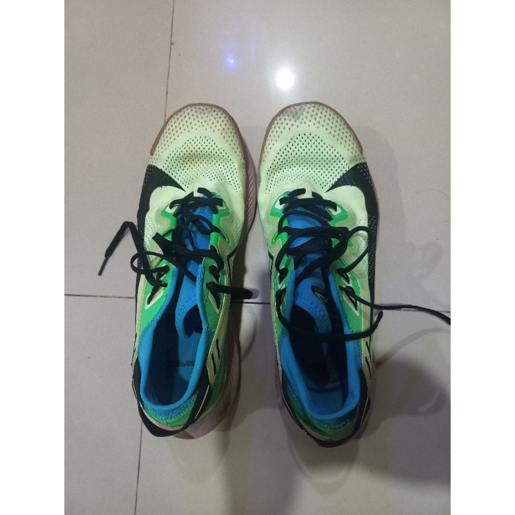 Nike Trail Pegasus 2